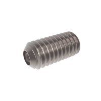 DIN 916 Hexagon socket set screws with cup point INOX A2/A4