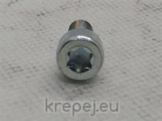 БОЛТ 6Х14 ZN ИМБУС 8.8 DIN912 TORX TX30 ZN