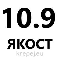 БОЛТ 10Х16 DIN933 10.9 ЦЯЛА РЕЗБА ЦИНК ZN