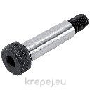 ПАС БОЛТ ИМБУС 6F9 5Х12 DIN9841/ISO7379 12.9 BL
