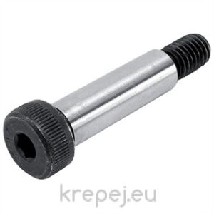 ПАС БОЛТ ИМБУС 6F9 5Х50 DIN9841/ISO7379 12.9 BL