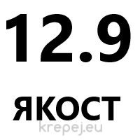 ПАС БОЛТ ИМБУС 6H8 5Х35 DIN9841/ISO7379 12.9 BL