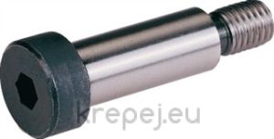 ПАС БОЛТ ИМБУС 6F9 5Х30 DIN9841/ISO7379 12.9 BL