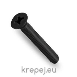 ВИНТ 4Х10 DIN965 БОЛТ ФРЕЗЕНГ 4.8 PH3 ЧЕРЕН BL