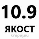 ШПИЛКА 36Х1000ММ /1М. DIN975 10.9 ЧЕРНА BL