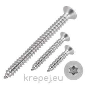 ВИНТ 3.9X25 DIN7982 ФРЕЗЕНК МЕТАЛ TORX TX20 ZN